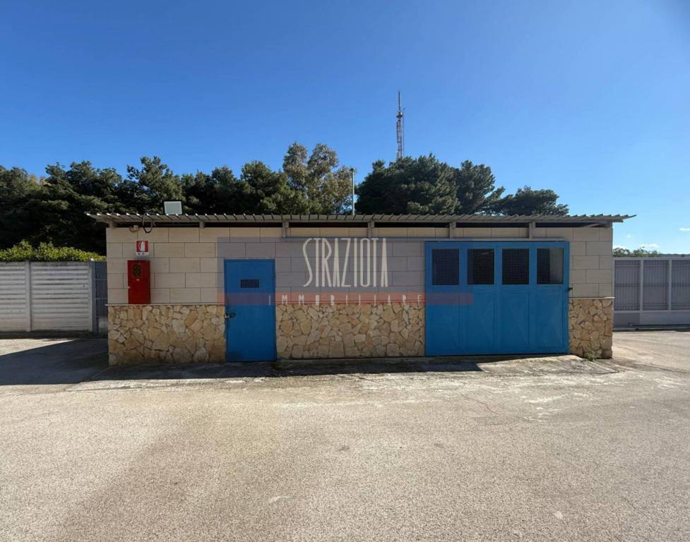 immagine annuncio 12 di 13