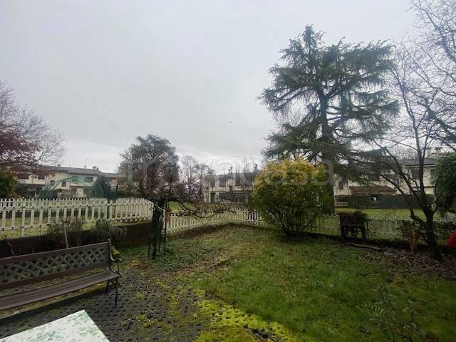 immagine annuncio 4 di 7