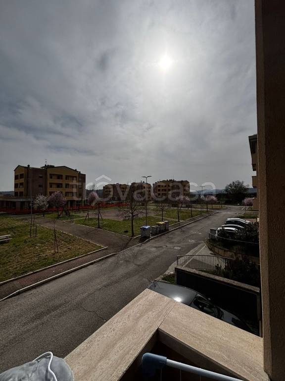 immagine annuncio 12 di 14