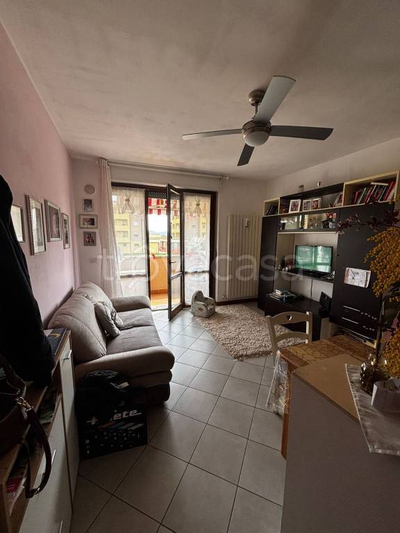 immagine annuncio 2 di 14