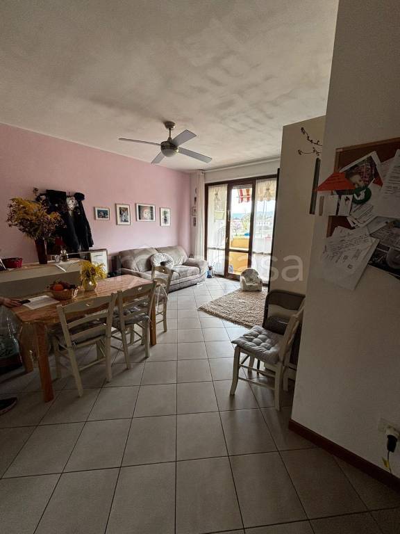 immagine annuncio 4 di 14