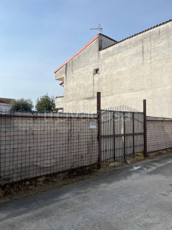 immagine annuncio 4 di 11