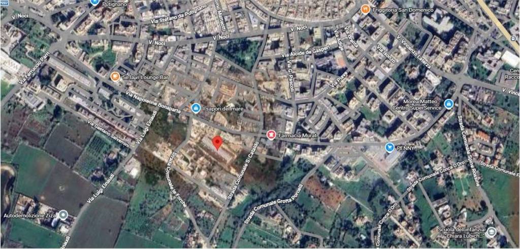 immagine annuncio 12 di 15