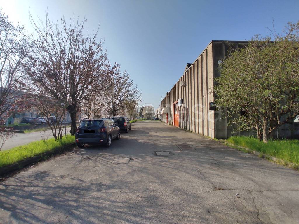 immagine annuncio 3 di 15