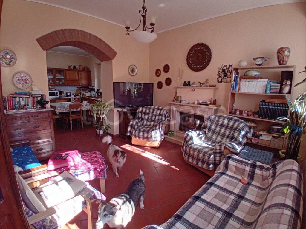 immagine annuncio 9 di 15