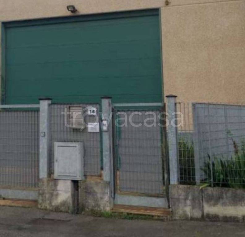 immagine annuncio 3 di 11