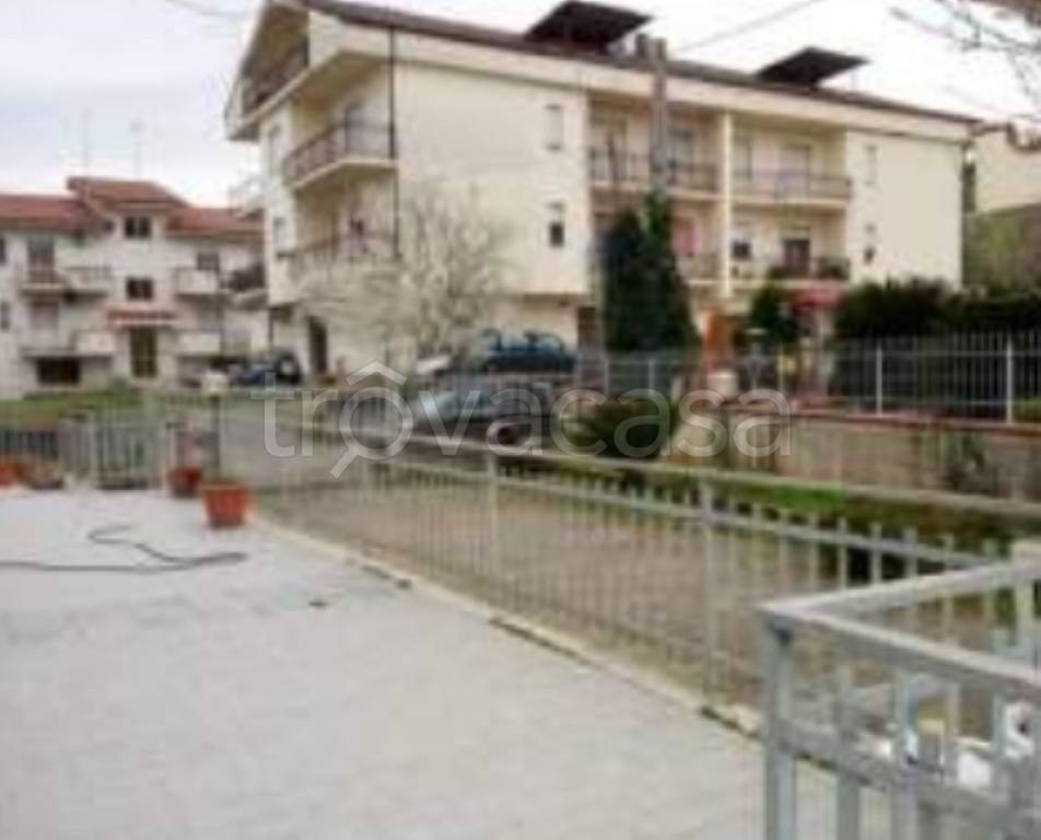 immagine annuncio 4 di 12