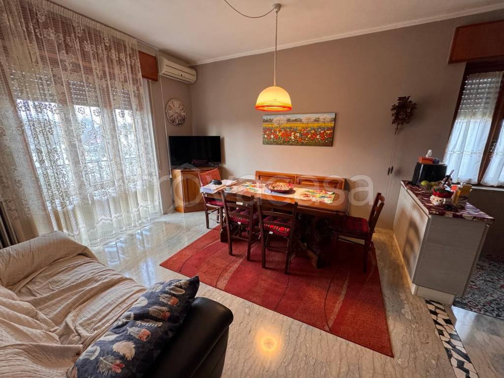 immagine annuncio 2 di 14