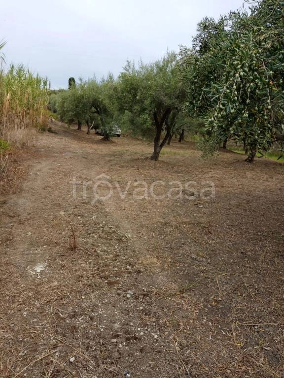 immagine annuncio 1 di 7