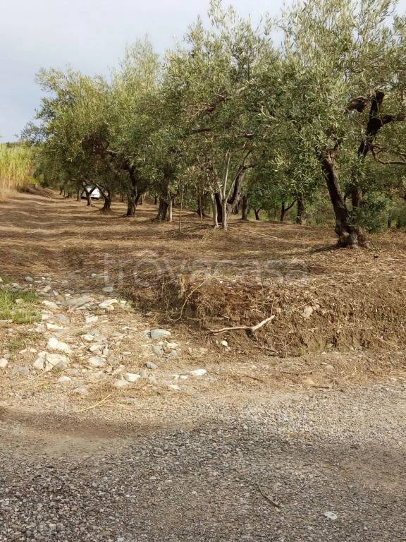 immagine annuncio 2 di 7