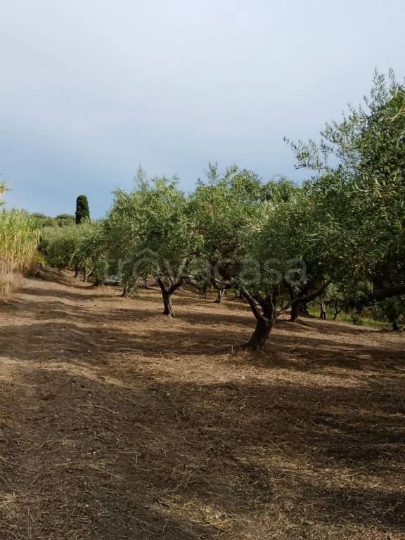 immagine annuncio 4 di 7