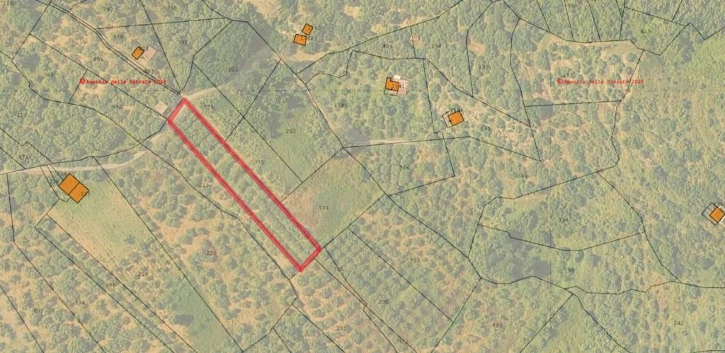 immagine annuncio 6 di 7