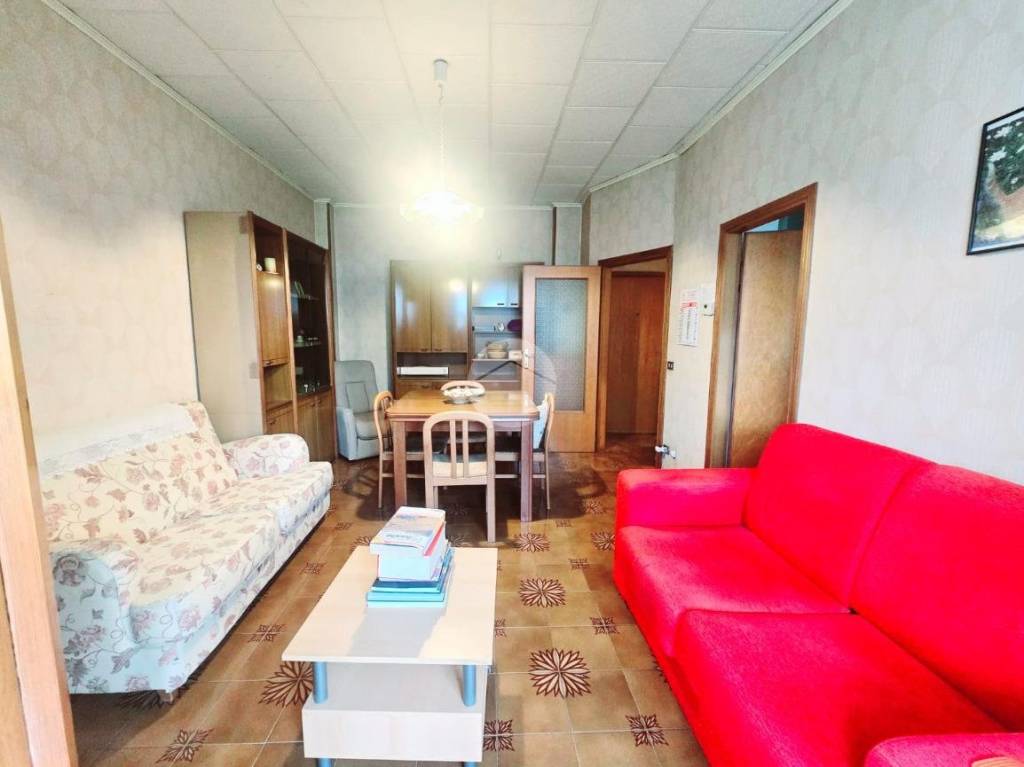 immagine annuncio 5 di 12