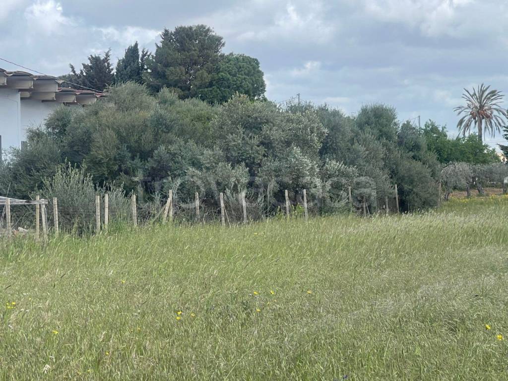 immagine annuncio 1 di 11