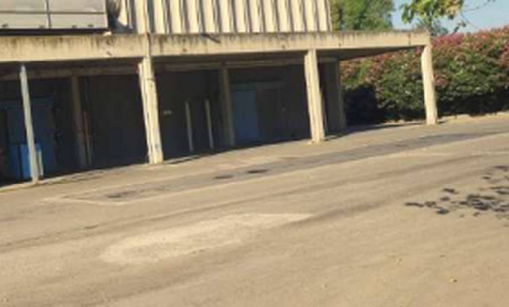 immagine annuncio 3 di 11