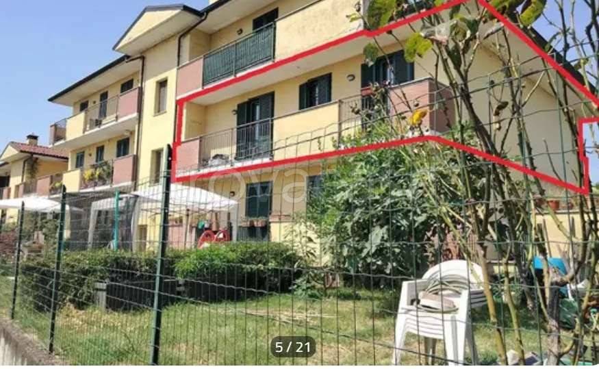 immagine annuncio 5 di 15