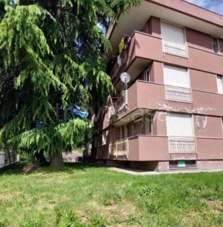 immagine annuncio 4 di 11