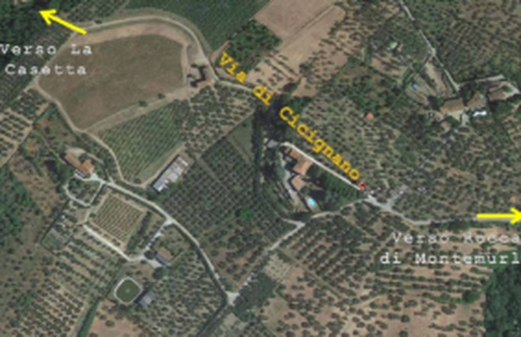 immagine annuncio 2 di 11