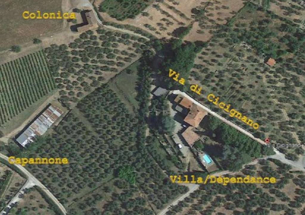 immagine annuncio 3 di 11