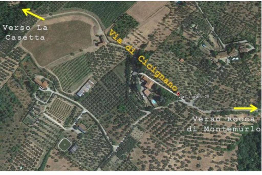 immagine annuncio 4 di 11