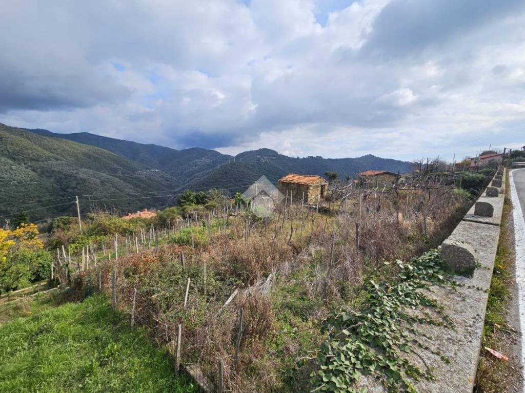 immagine annuncio 5 di 8