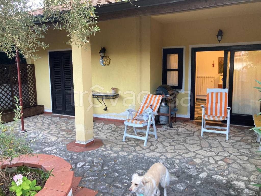 immagine annuncio 1 di 8