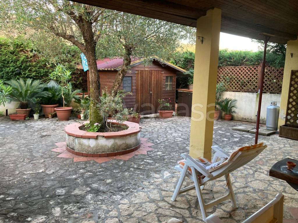 immagine annuncio 2 di 8