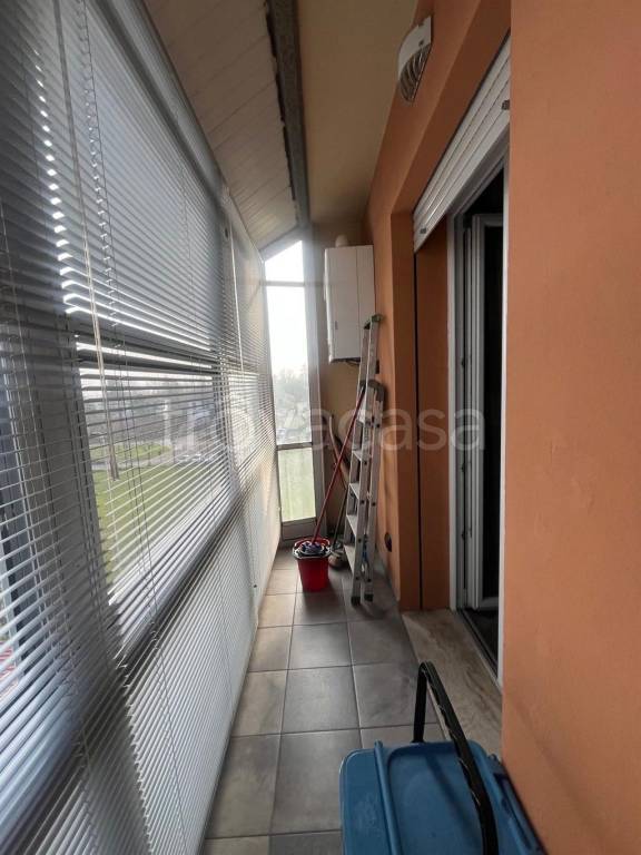 immagine annuncio 5 di 8