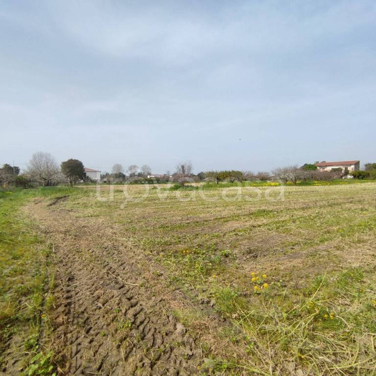 immagine annuncio 3 di 12