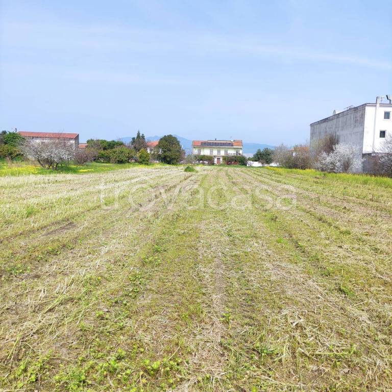 immagine annuncio 6 di 12