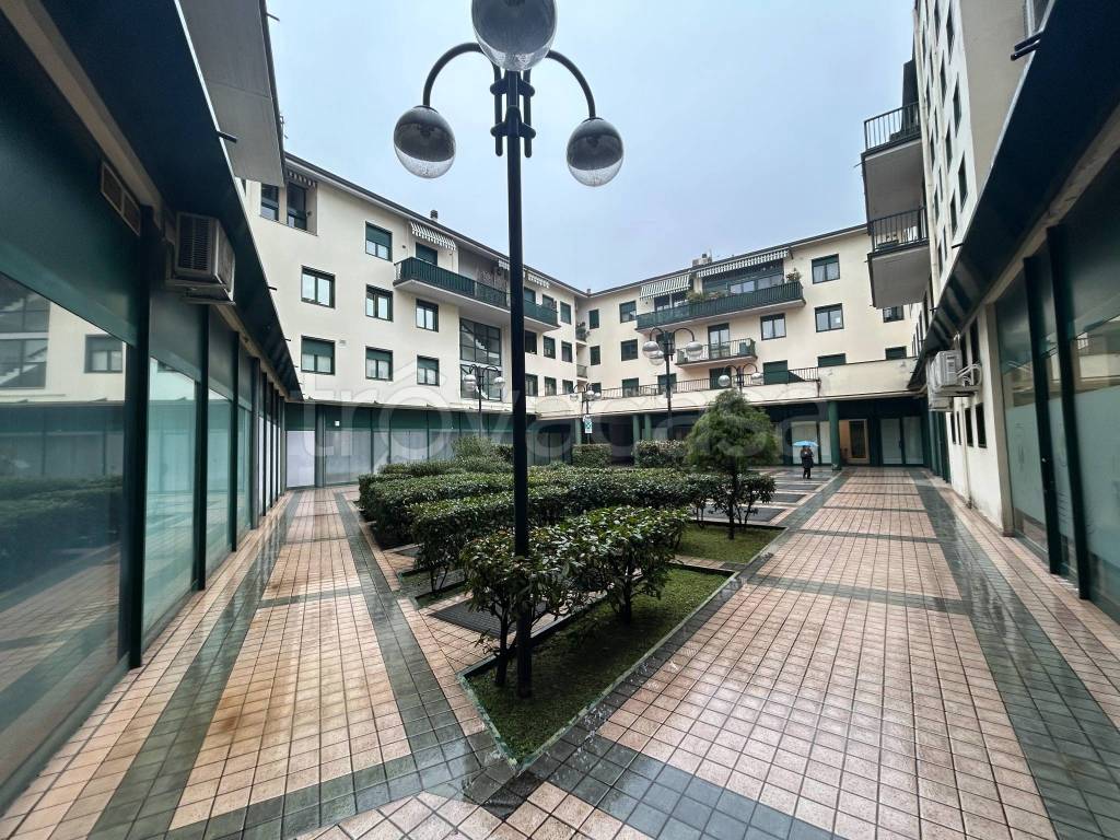 immagine annuncio 11 di 14