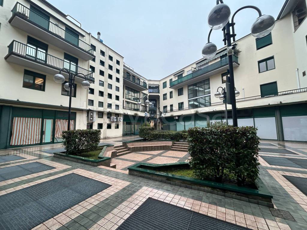 immagine annuncio 12 di 14