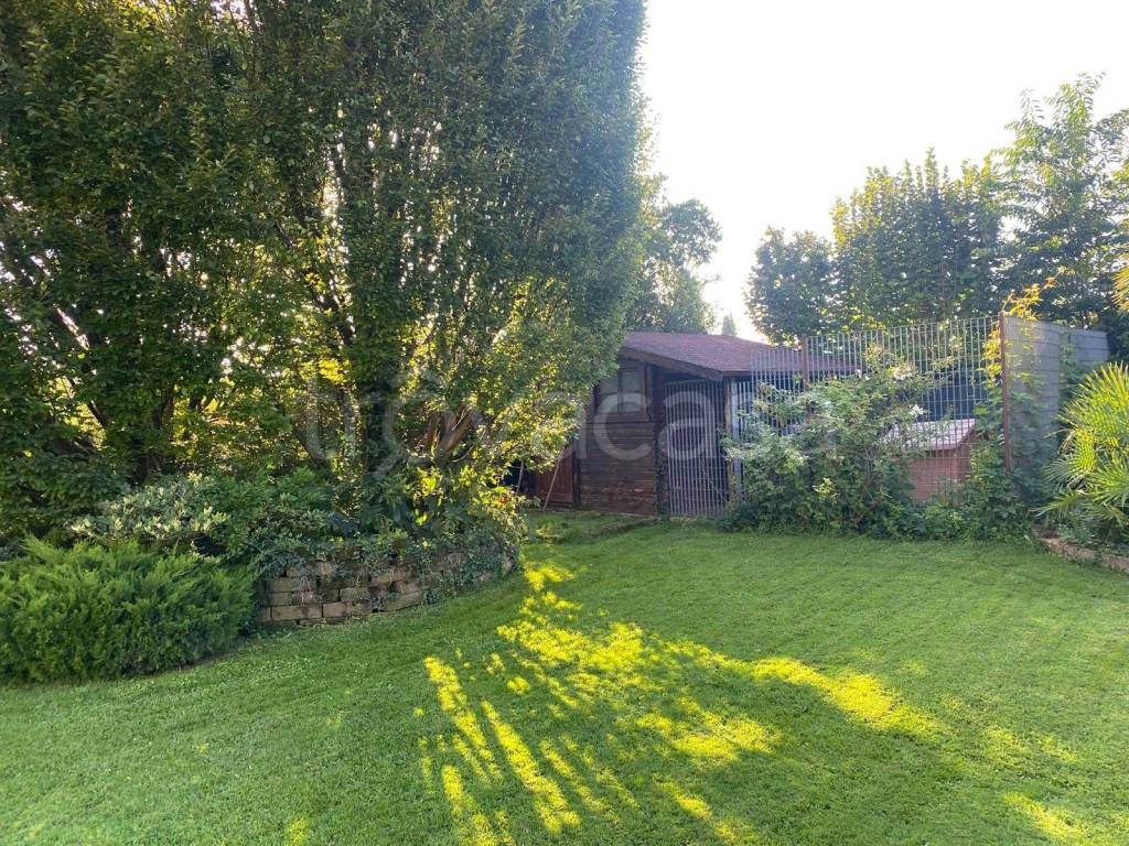 immagine annuncio 14 di 15