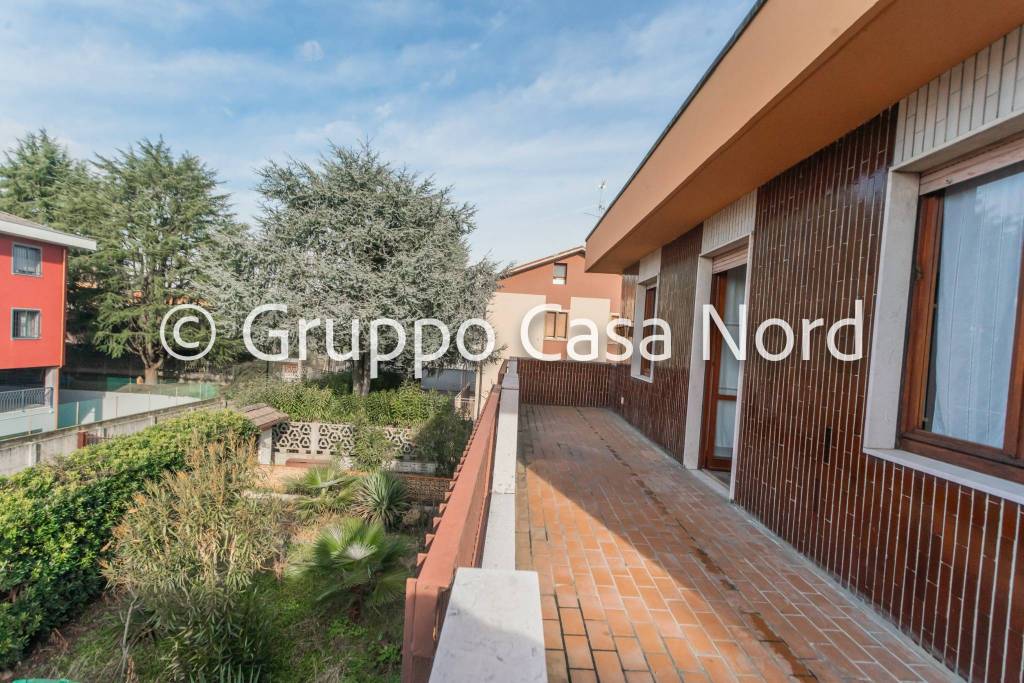 immagine annuncio 8 di 15