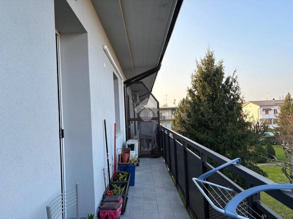 immagine annuncio 9 di 13