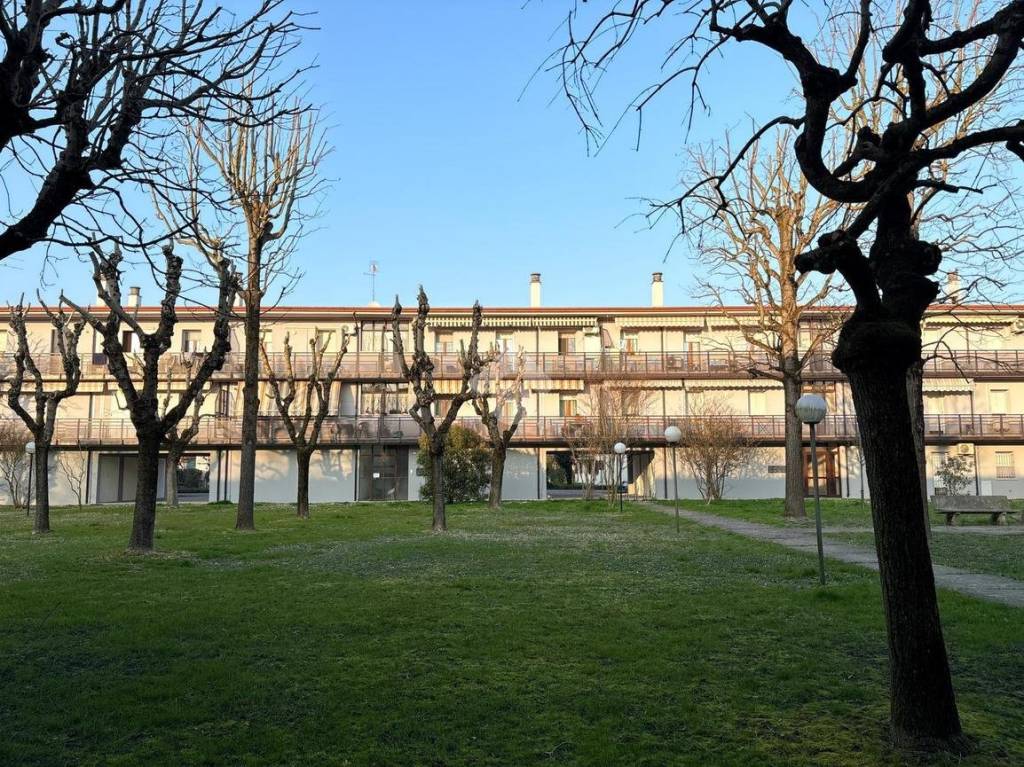 immagine annuncio 11 di 13