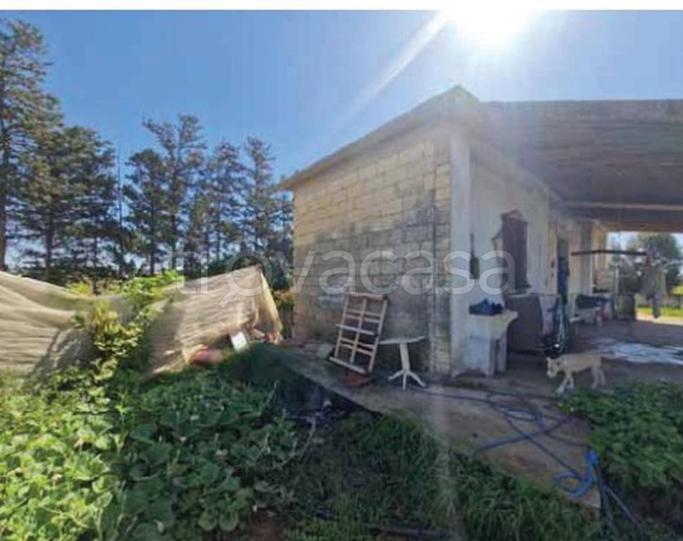 immagine annuncio 3 di 12