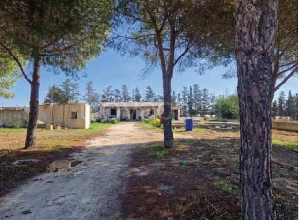 immagine annuncio 5 di 12