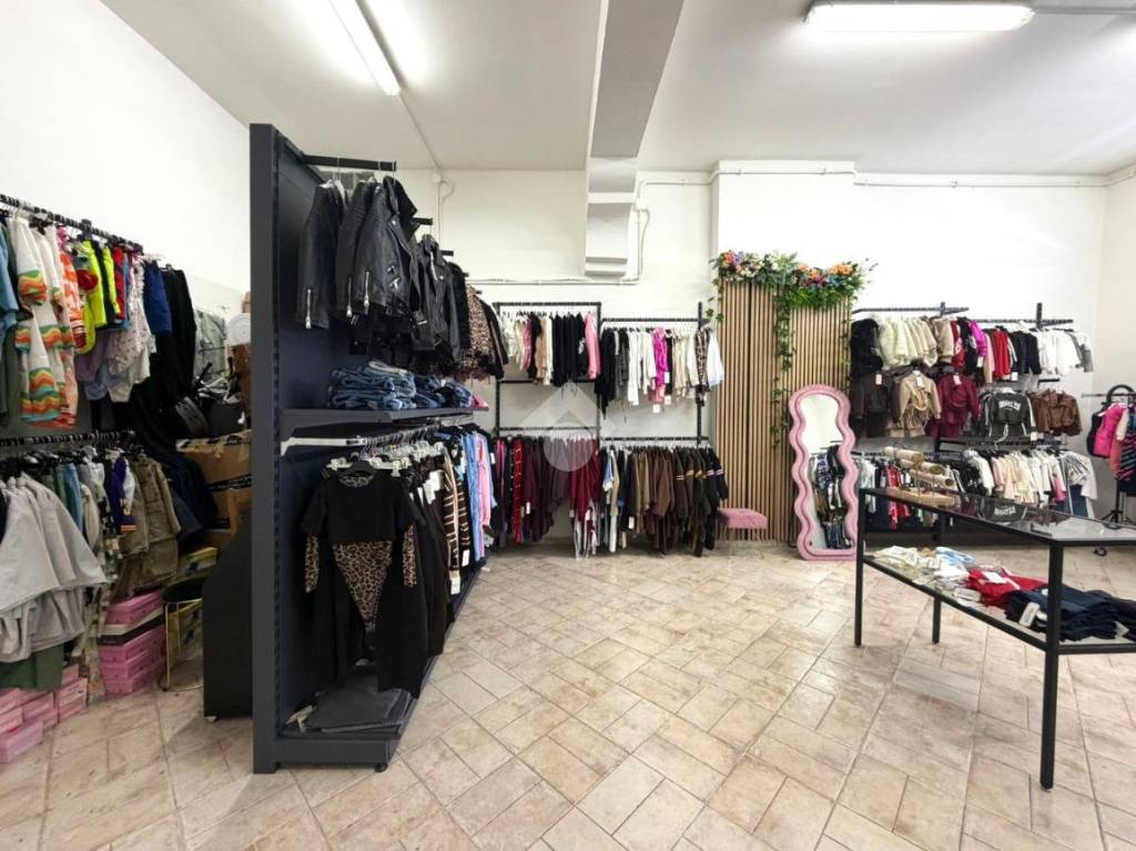 immagine annuncio 2 di 12