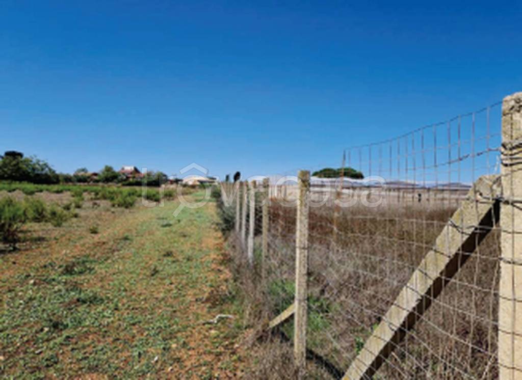 immagine annuncio 5 di 11