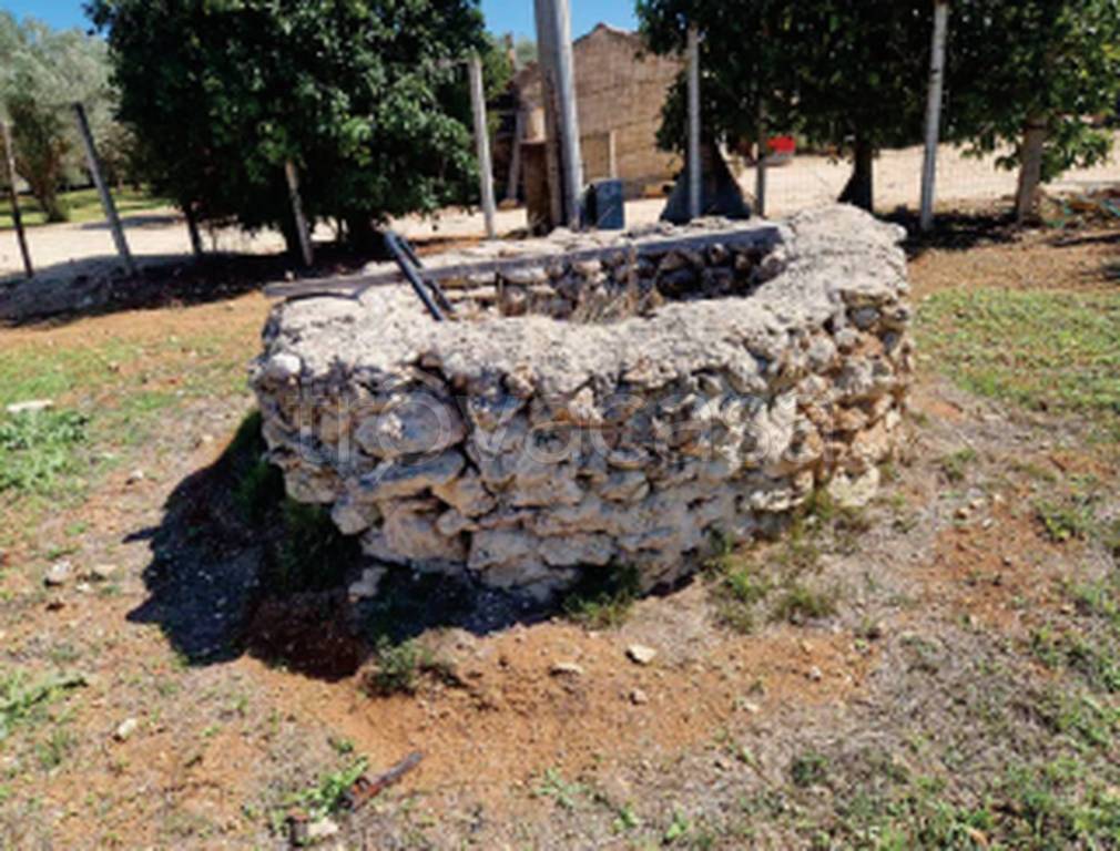 immagine annuncio 7 di 11