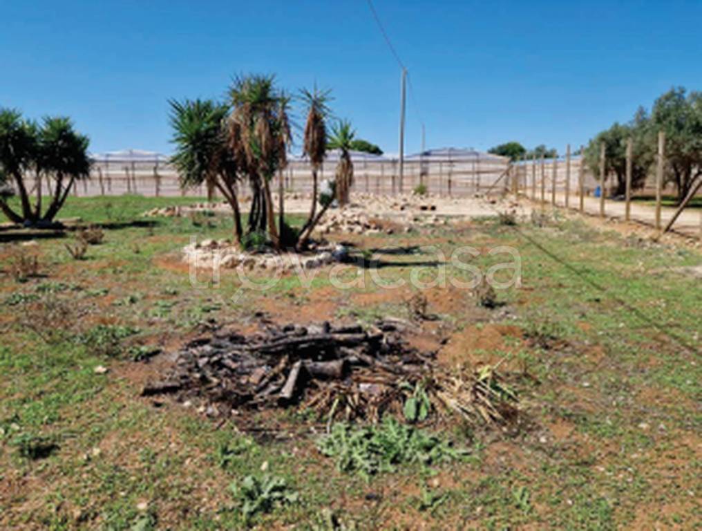 immagine annuncio 10 di 11