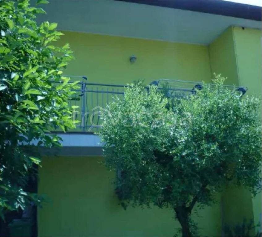 immagine annuncio 4 di 13