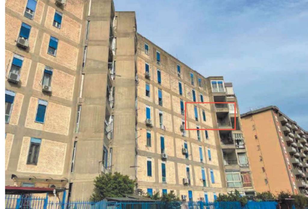 immagine annuncio 4 di 14