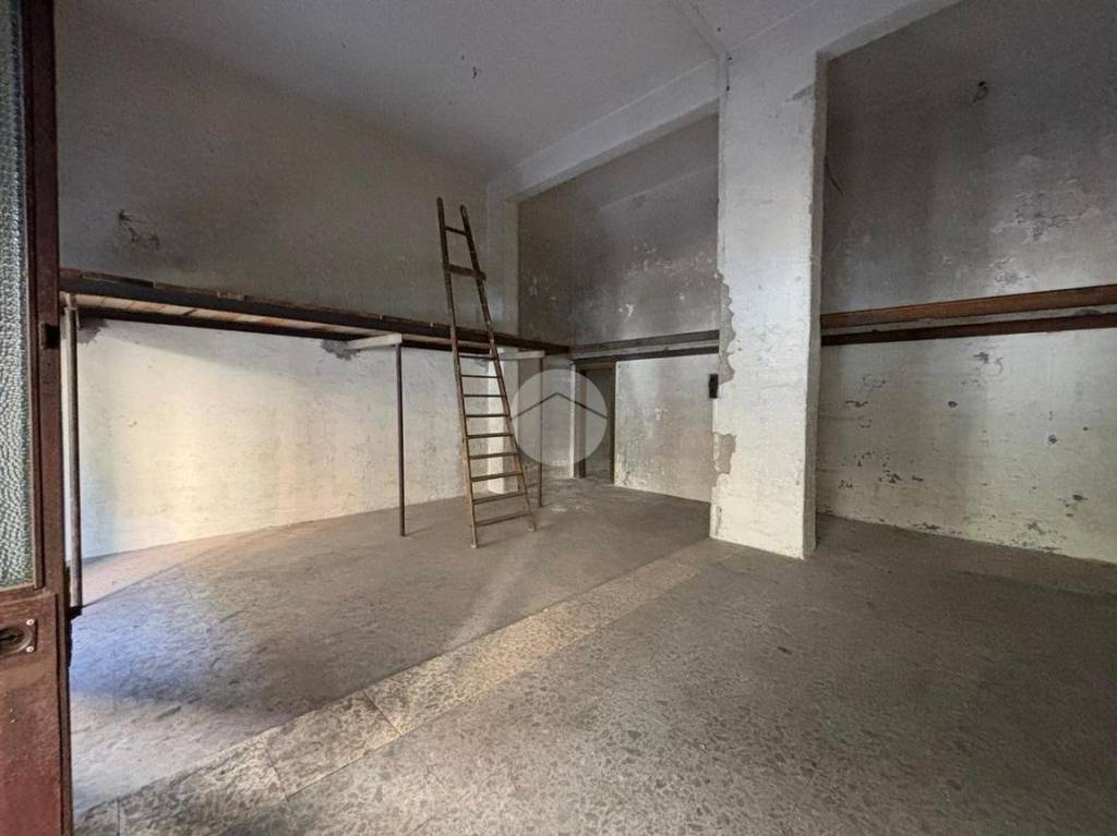 immagine annuncio 7 di 14