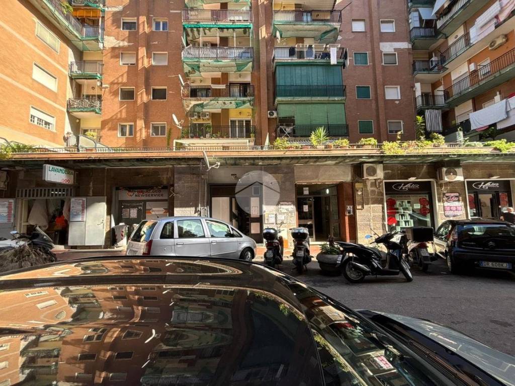 immagine annuncio 10 di 14