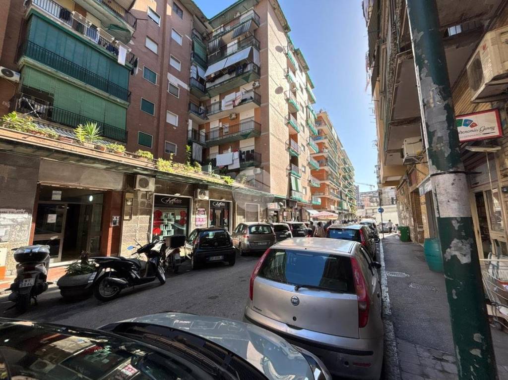 immagine annuncio 11 di 14