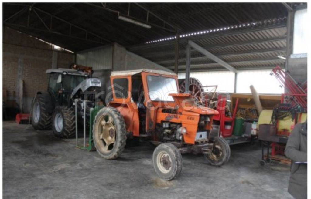 immagine annuncio 1 di 12