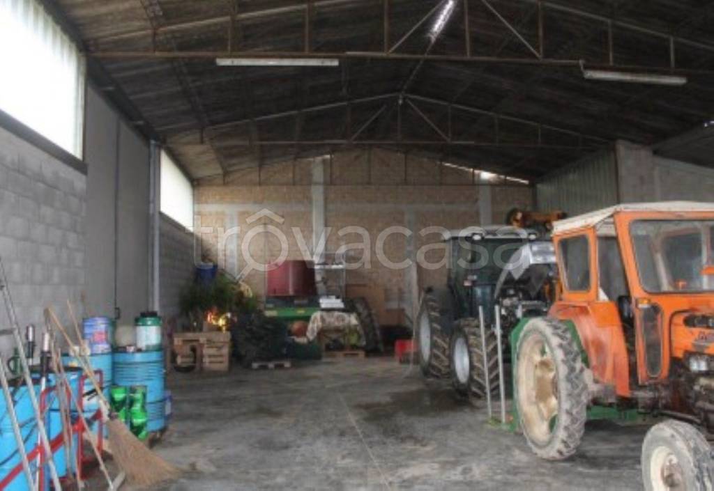 immagine annuncio 2 di 12