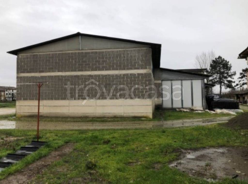 immagine annuncio 4 di 12